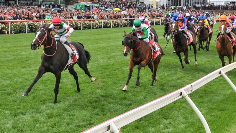 Lys Gracieux will swerve the Melbourne Cup and instead be aimed at the Arima Kinen