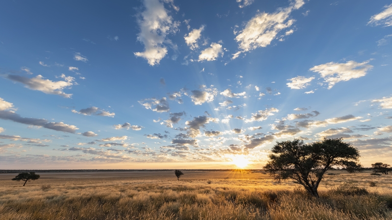 It has been long established that Homo sapiens originated somewhere in Africa, but it had not been known exactly where