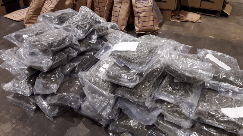 The cannabis was found concealed within a load of fresh vegetables