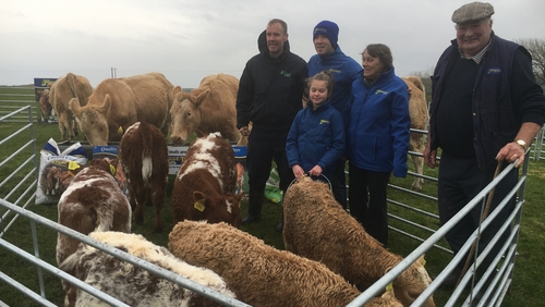 Multiple births at Tom Clair's farm made headline news