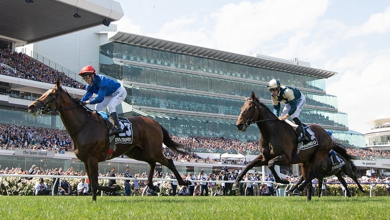 Marmelo found only Cross Counter too good in last season's Melbourne Cup