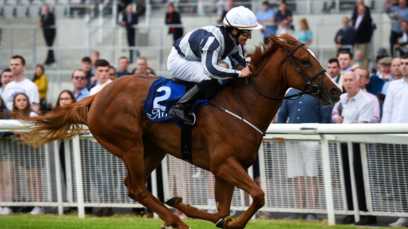 Albigna and Daahyeh are disputing favouritism for the Juvenile Fillies Turf