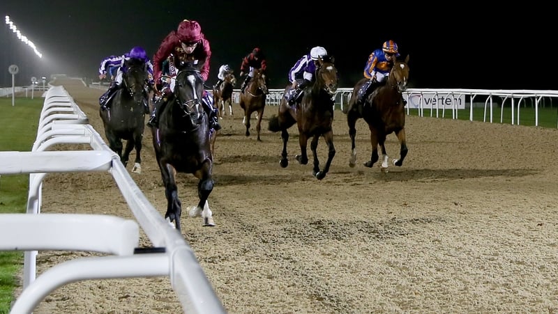 Kameko thrived on Newcastle's Tapeta surface