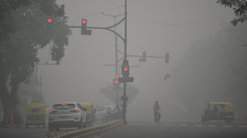 Authorities in Delhi on Friday declared a public health emergency