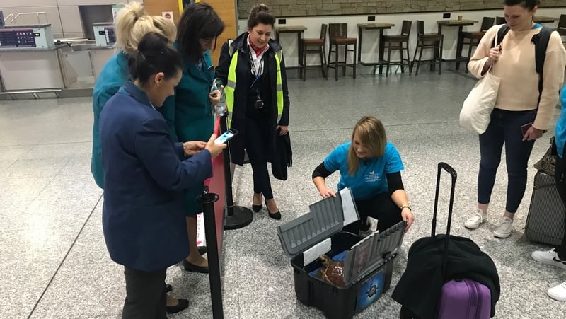 Mara's passage through the airport gave rise to much excitement among staff and early morning travellers