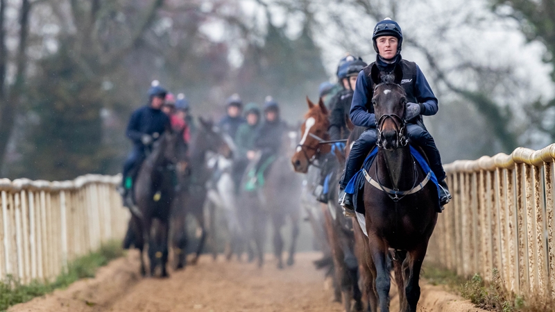 Some of Gordon Elliott's stable stars will be out for the Fairyhouse Winter Racing Festival