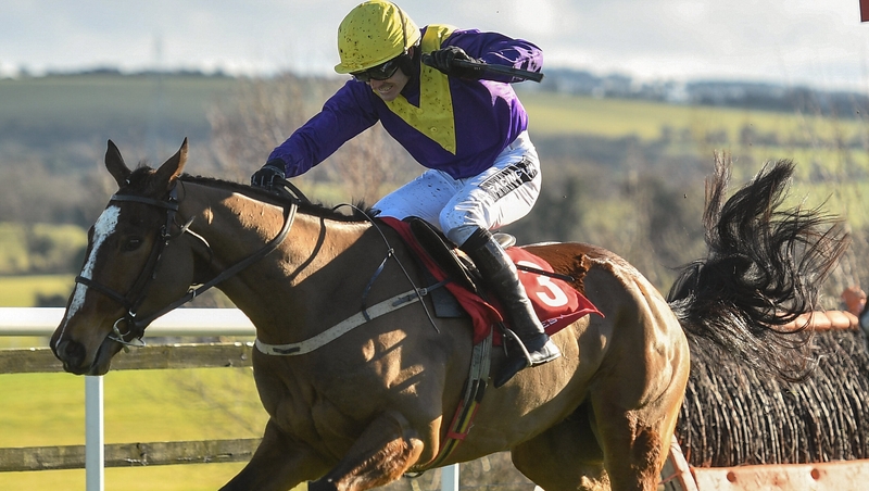 Cilaos Emery is a general 8-1 shot for the Champion Chase at the Cheltenham Festival