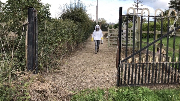 Beekeeper Mairéad Doherty
