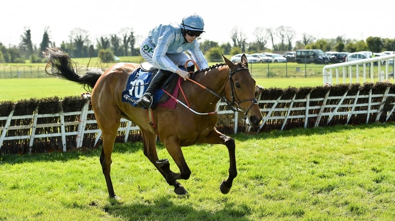 Honeysuckle, who is a general 9-2 chance, has only Benie Des Dieux ahead of her in the antepost market for the Mares' Hurdle at the Cheltenham Festival