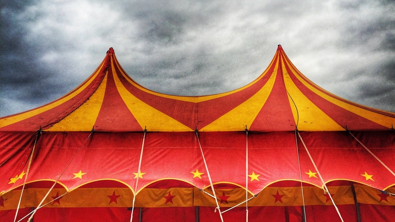 Polls show a vast majority of French people to be against the use of non-domestic animals for entertainment