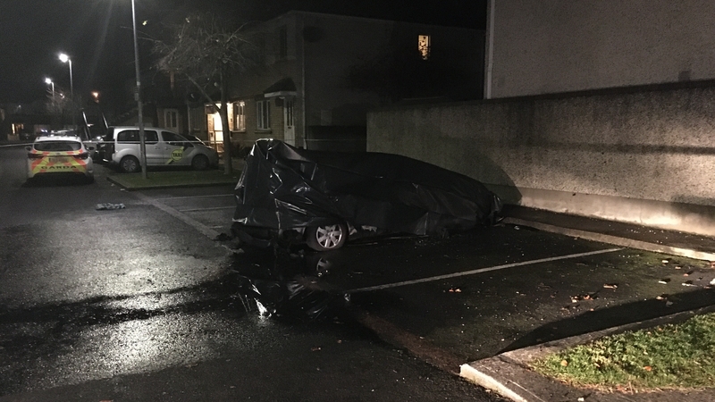 The discovery was made on Mount Andrew Rise in Lucan at around 8.15pm