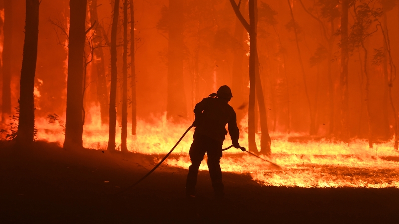 RFS volunteers and NSW Fire and Rescue officers work to put out a fire south west of Sydney