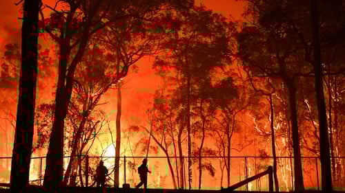 RFS volunteers and NSW Fire and Rescue officers battle the Gospers Mountain fire south west of Sydney