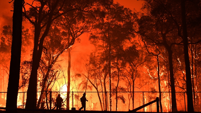 RFS volunteers and NSW Fire and Rescue officers battle the Gospers Mountain fire south west of Sydney