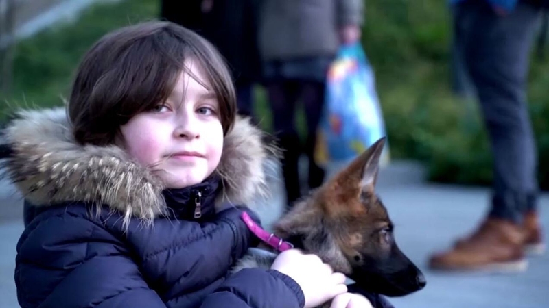 Laurent Simons is set to finish a three-year bachelor's programme in just nine months