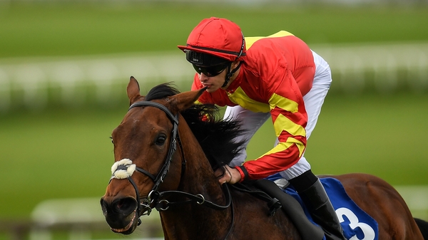 Donnacha O'Brien