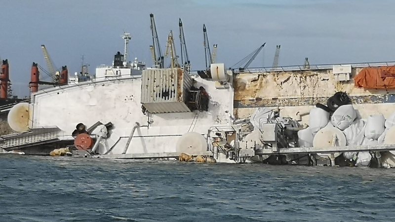 The ship bound for Saudi Arabia with 14,600 sheep aboard, capsized yesterday