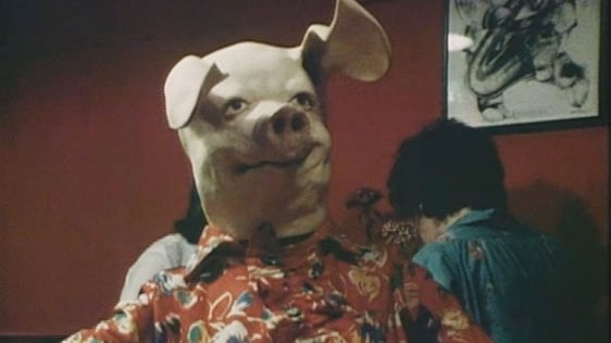 Talking pig.