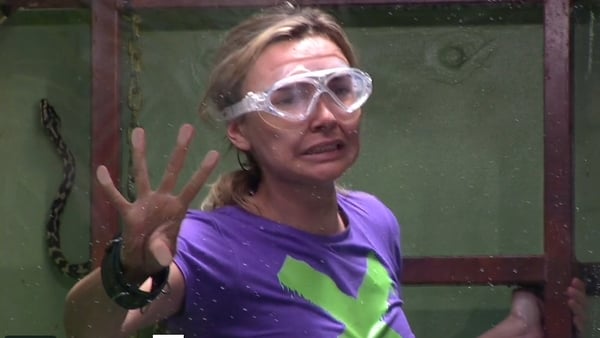 Bushtucker trials and tribulations! Screengrabs: ITV