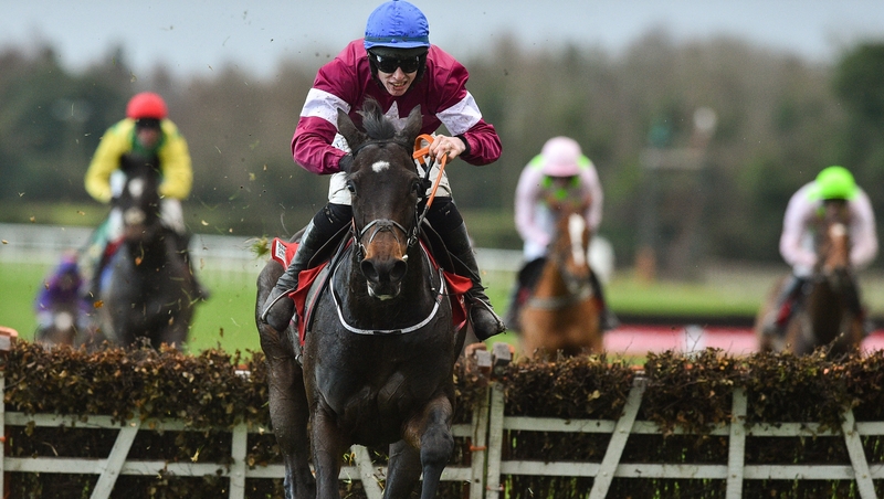 Apple's Jade has a liking for the Co Meath track