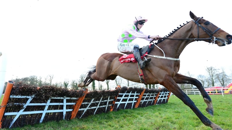 Saldier is one of the many fancies for March's Champion Hurdle