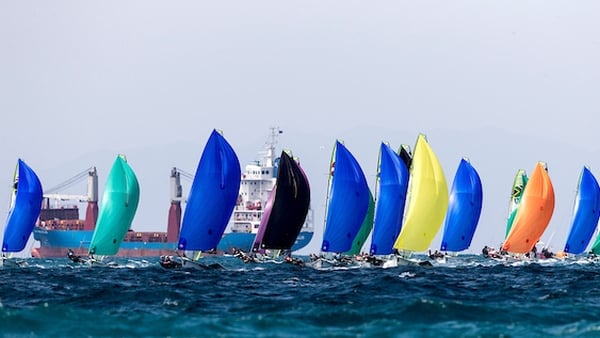 The fleet out on the water near Auckland