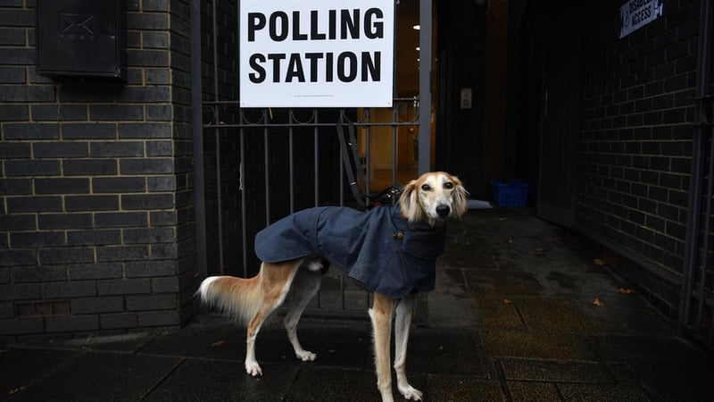 His master's vote - Outside a polling station in North London Photo: EPA