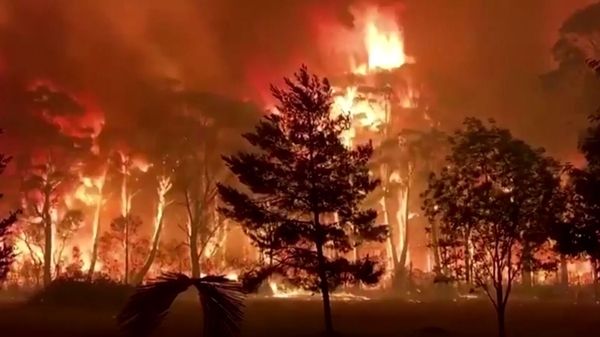 Image: NSW RFS - Terrey Hills Brigade