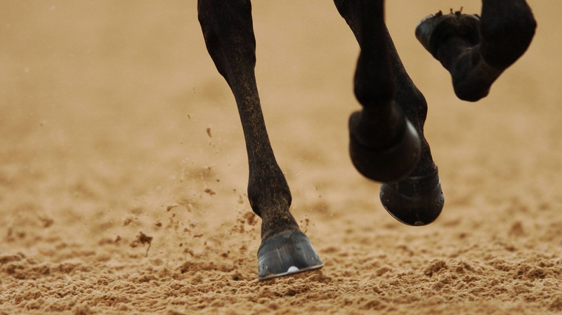 Cash the main issue is new venture is to go ahead