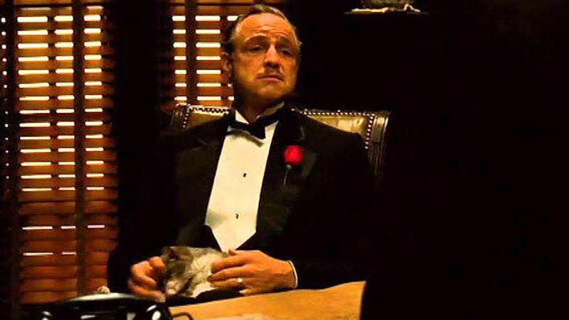 Vito Corleone (Marlon Brando) with cat in The Godfather. The cat was a stray Francis Ford Coppola found on the lot at Paramount Studios.