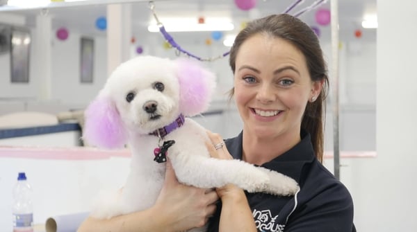 One Day: Keeping Ireland Company