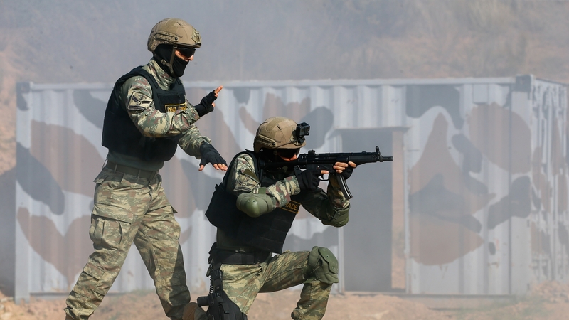 The decision puts the North African country's conflict at the centre of wider regional frictions (File image)