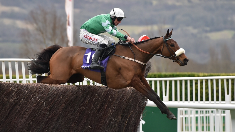 Owner Philip Reynolds has opined that whatever beats Irish Gold Cup hopeful Presenting Percy wins