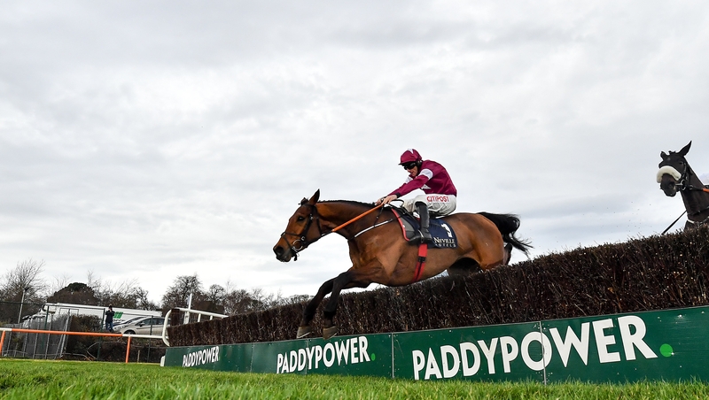 Battleoverdoyen clears the last to win the Neville Hotels Novice Chase at Leopardstown