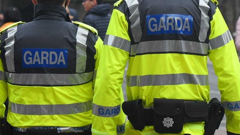 The mother-of-three apologised to the garda involved