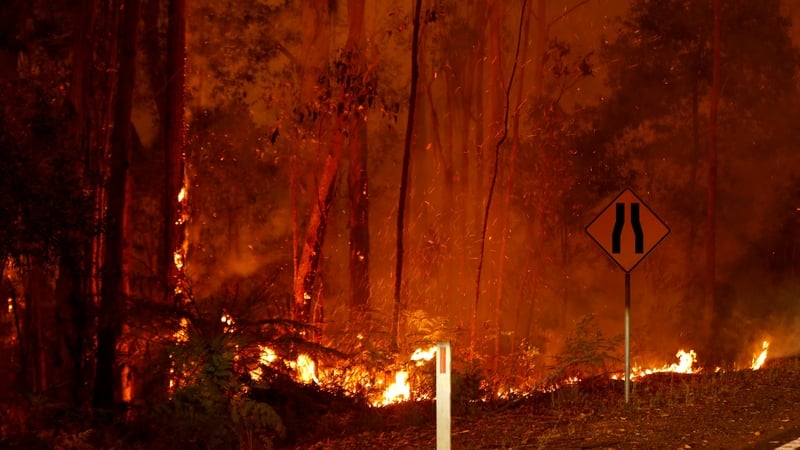 The amount of smoke released into the atmosphere by the fires is comparable to that put out by the eruption of Mount Pinatubo in the Philippines in 1991