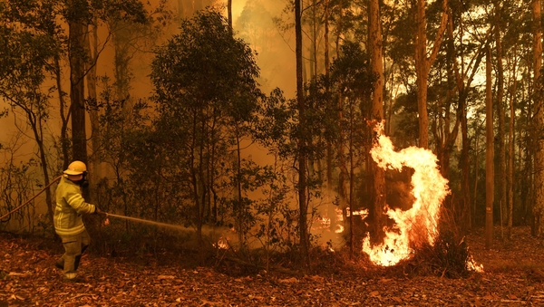 A Northern Territory Fire and Rescue firefighter works on the eastern fringes of the Currowan fire at Tomerong