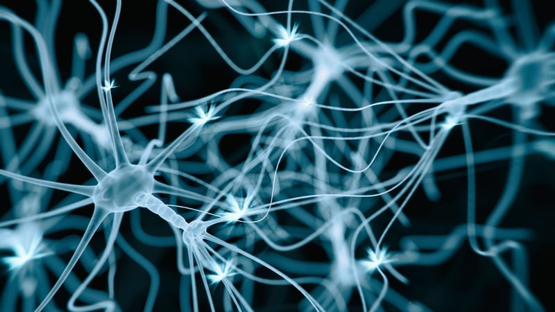 "The genes involved in motor neuron disease provide the instructions for proteins that carry out various different jobs"