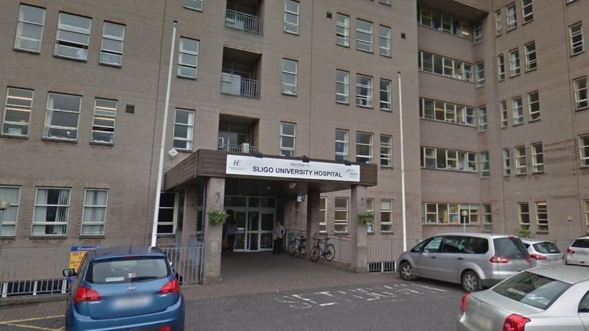 Woman dies after being attacked by swarm of bees in Mayo
