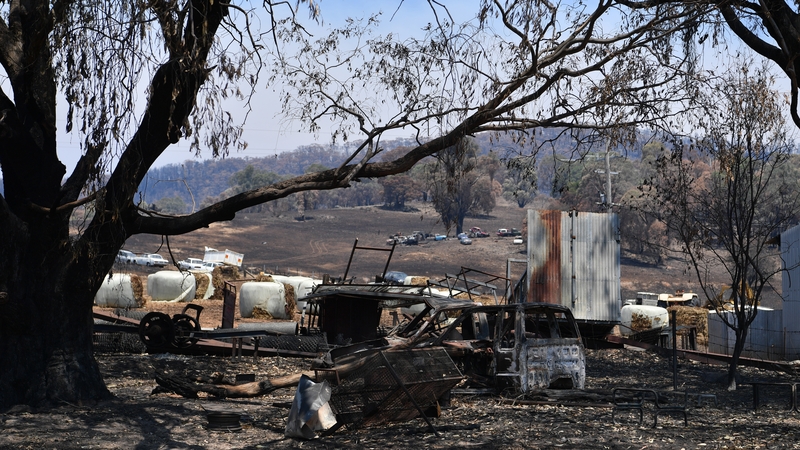 Fire damage in Tumburumba, Australia
