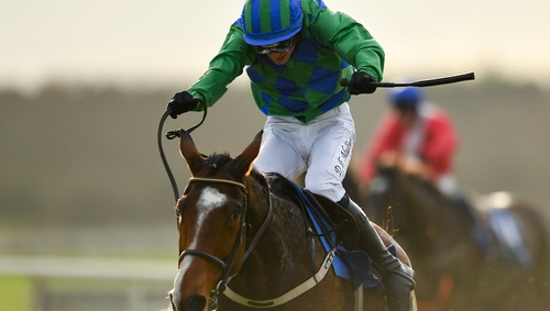 Carefully Selected at the Fairyhouse Winter Festival in November 2019