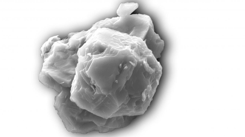 Image courtesy of Janaína N Ávila