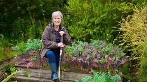 Deirdre Ní Bhraonáin, Garraíodóir Chluain Na dTor. show image