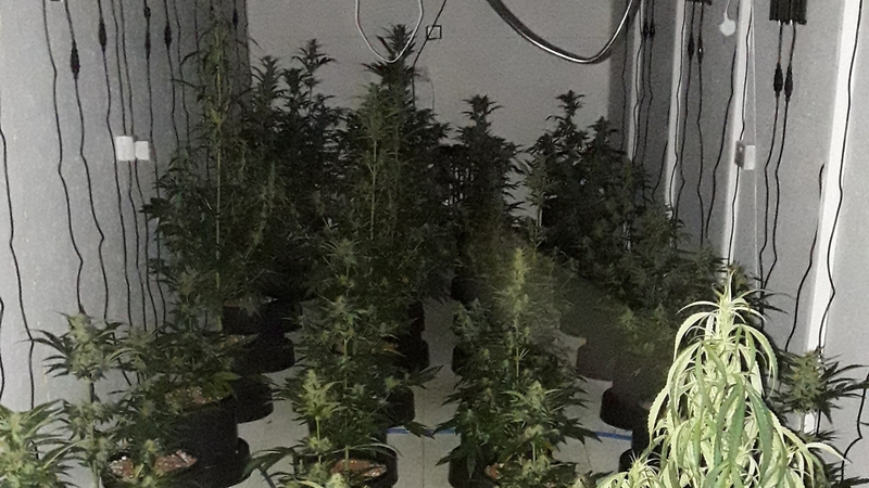 A technical examination of the house at Clossagh Beg is under way