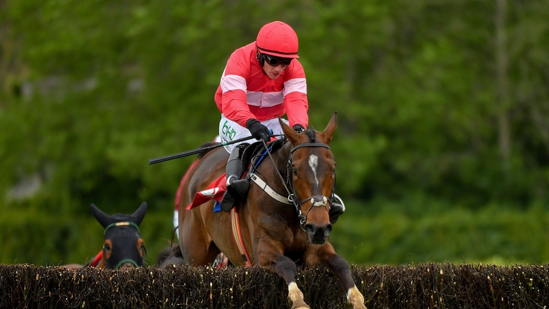 Real Steel was the best of the Willie Mullins trio