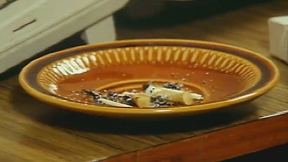 Cigarette stubs in ashtray (1990)