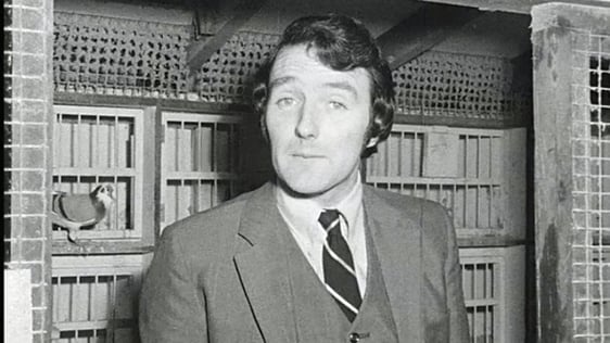 Mike Murphy, Pigeon Racing