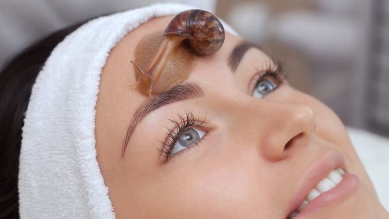 The controversial product is big in Korean beauty circles.