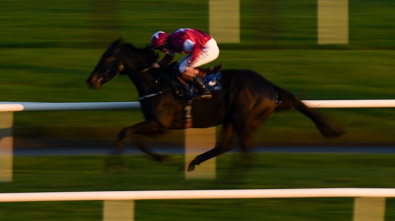 Eric Bloodaxe will go in the Dublin Racing Festival