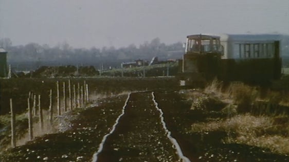 Derrygreenagh Bog.